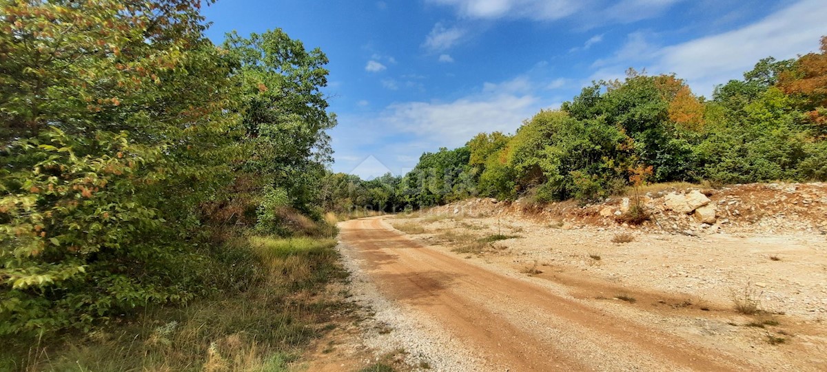 Terreno Šorići, Kanfanar, 10.511m2