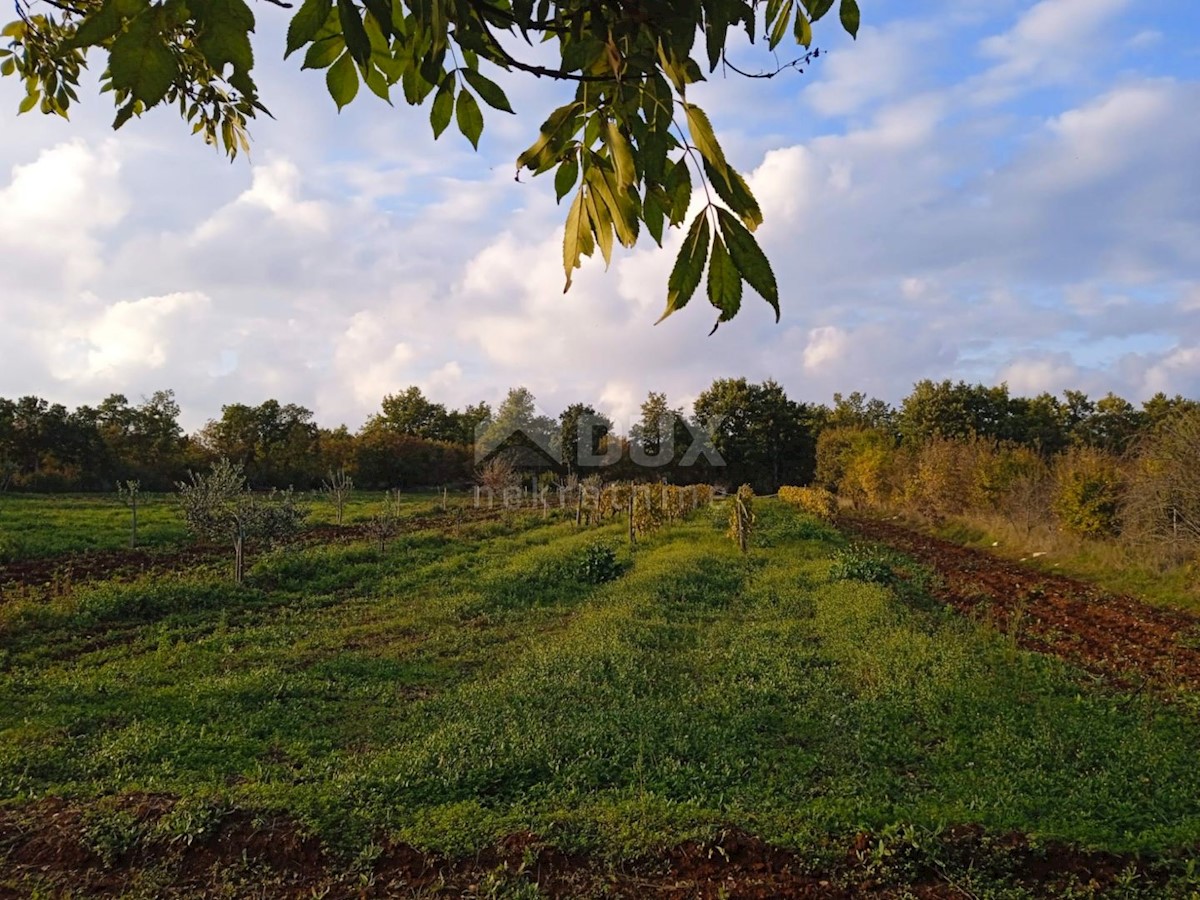 Terreno Štokovci, Svetvinčenat, 6.418m2