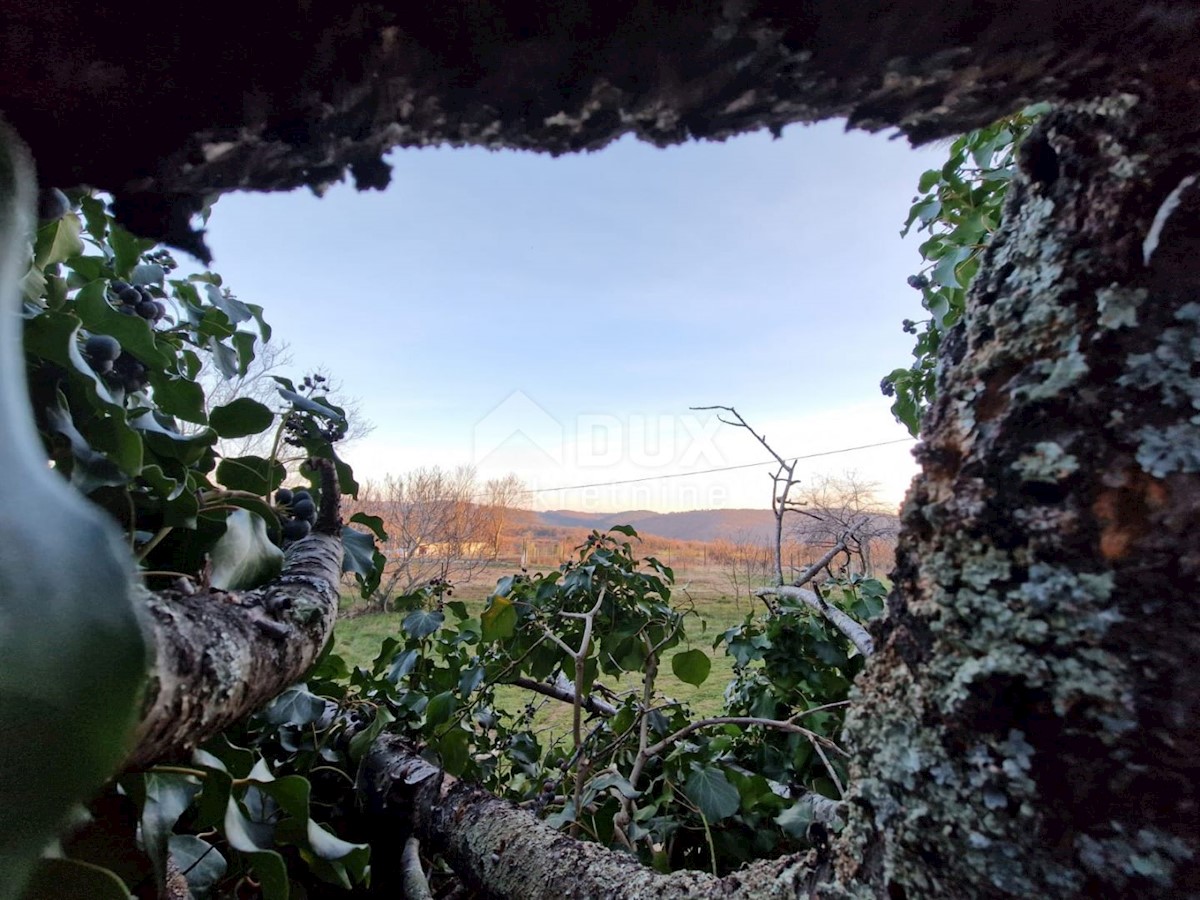ISTRIA, BUIE - Casa in pietra in posizione tranquilla