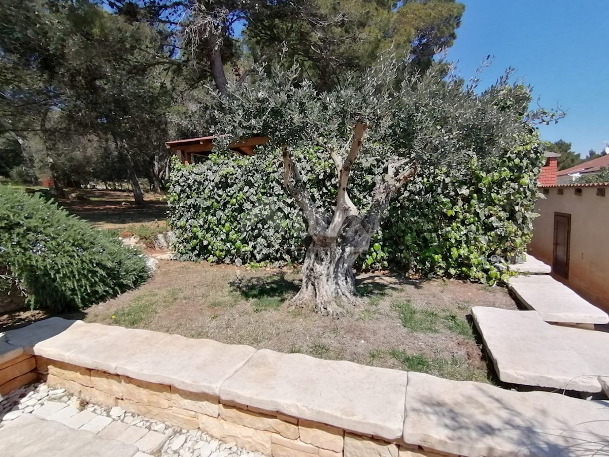 Casa Premantura, Medulin, 251m2