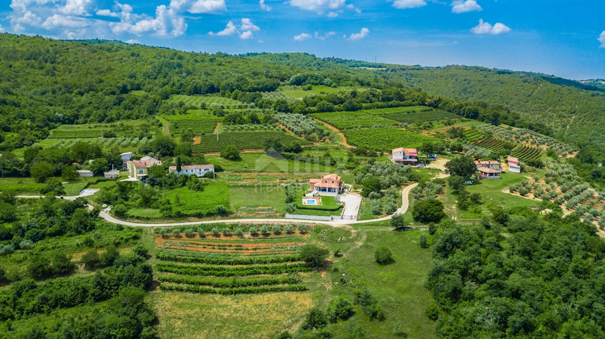 Terreno Motovun, 1.413m2