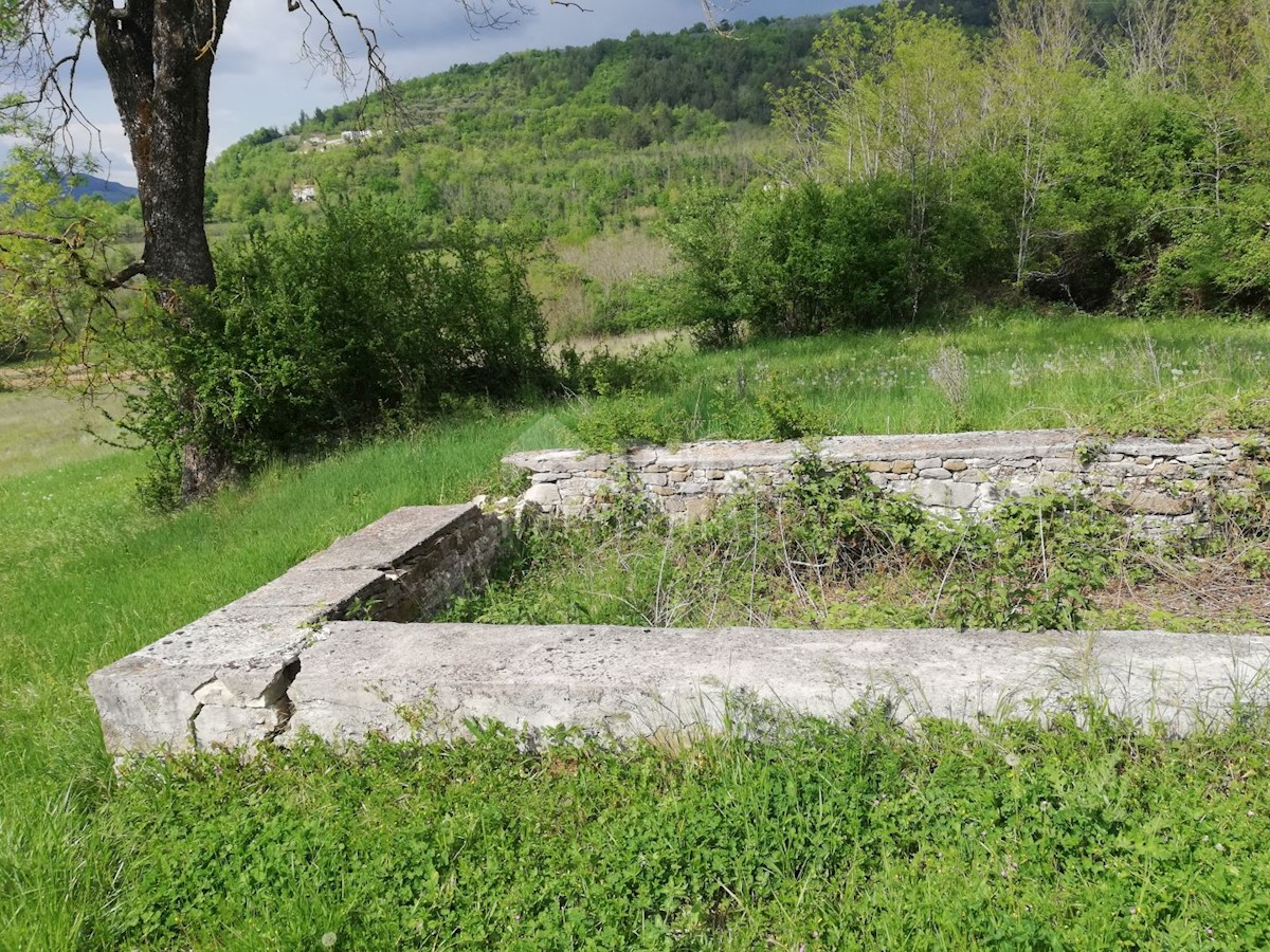 Terreno Motovun, 539.401m2