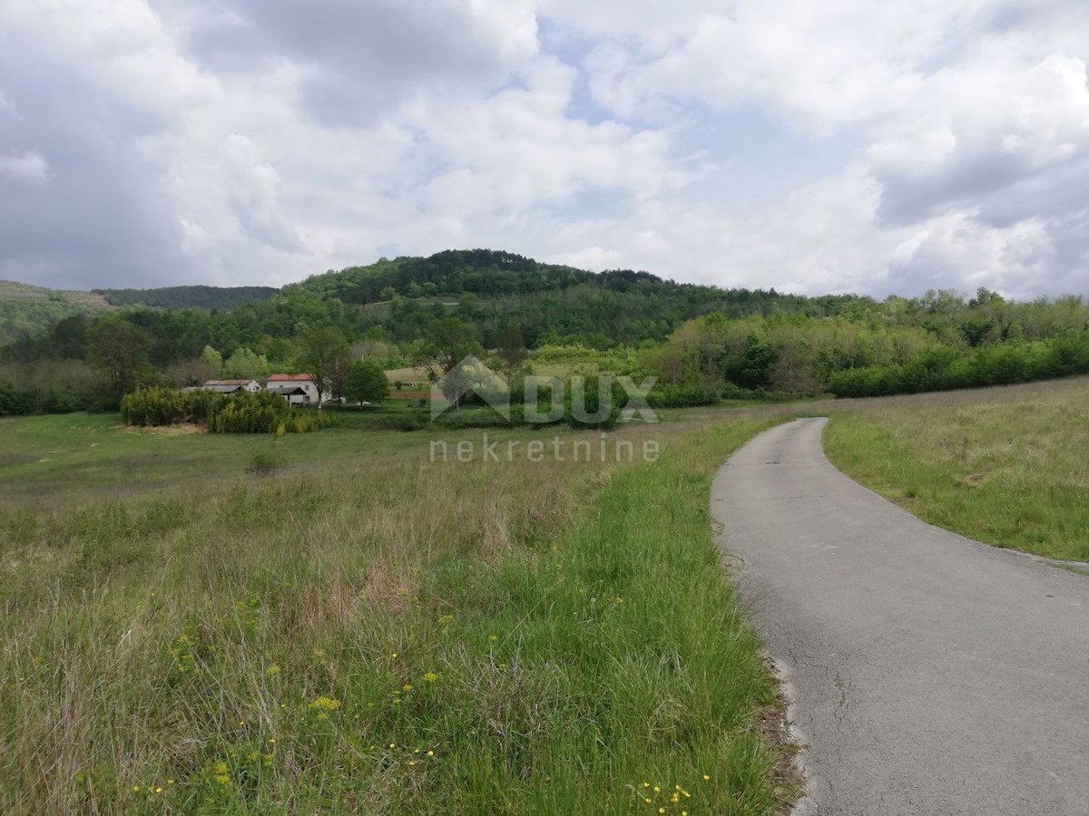 Terreno Motovun, 539.401m2