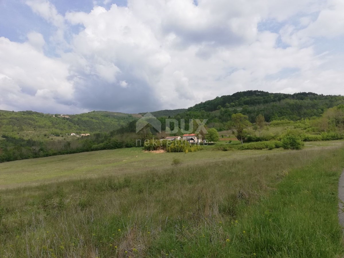 Terreno Motovun, 539.401m2