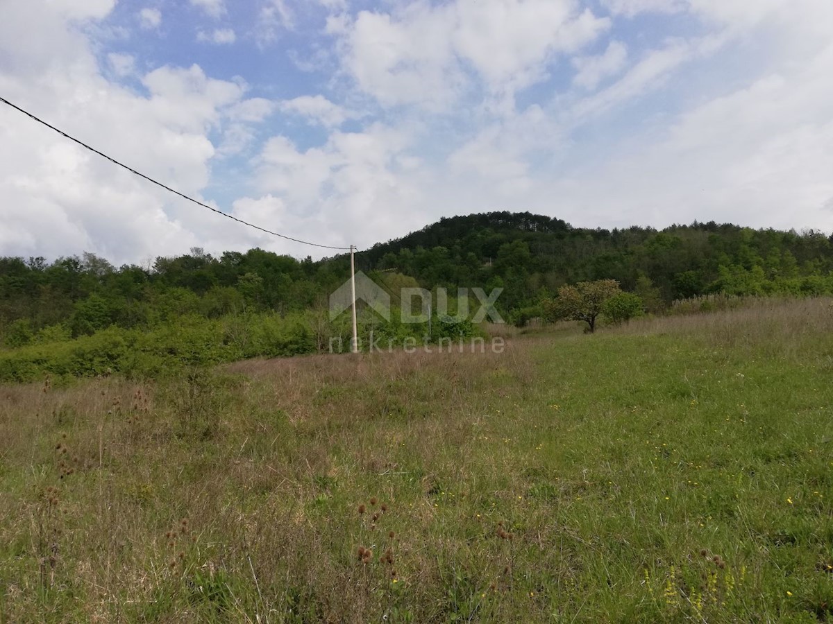 Terreno Motovun, 539.401m2