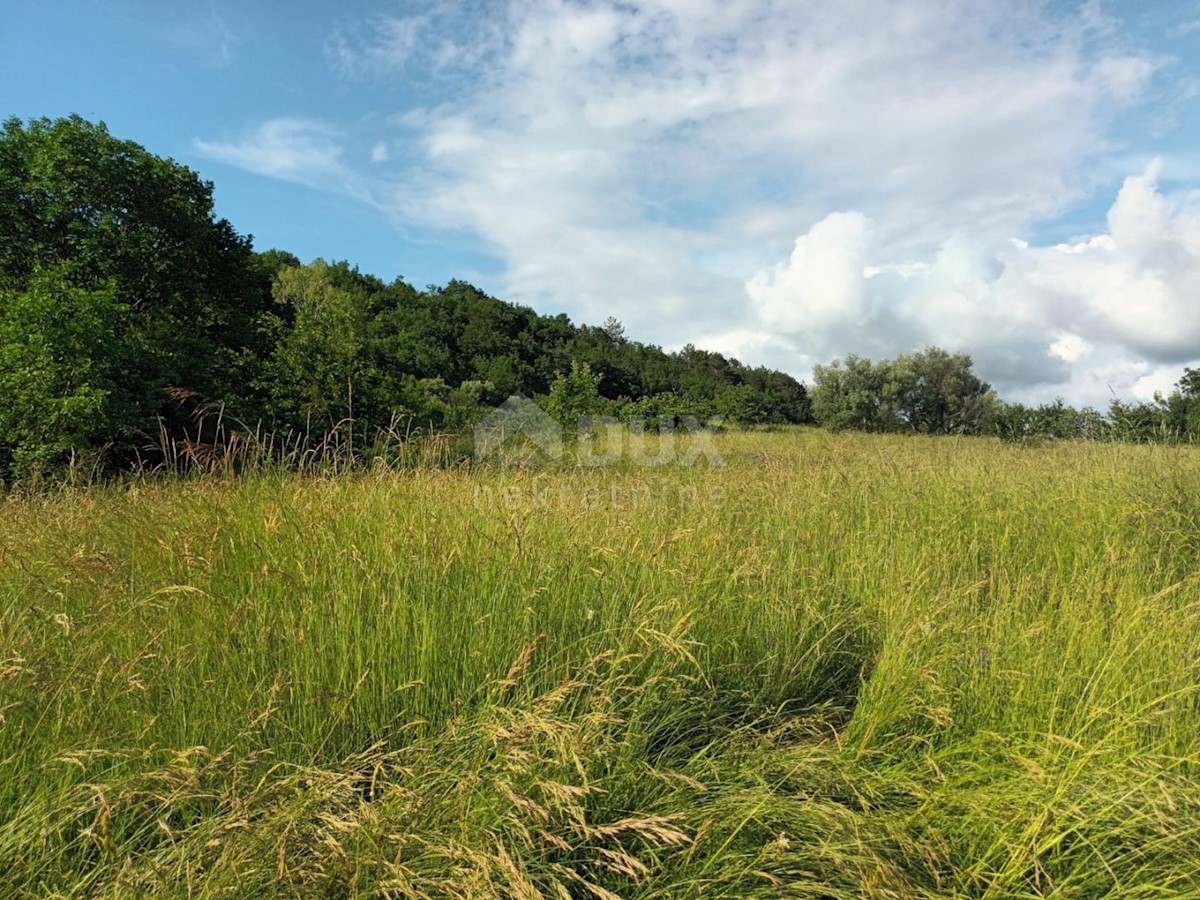 ISTRIA, BUZET - Casa in pietra in rovina nel cuore della natura