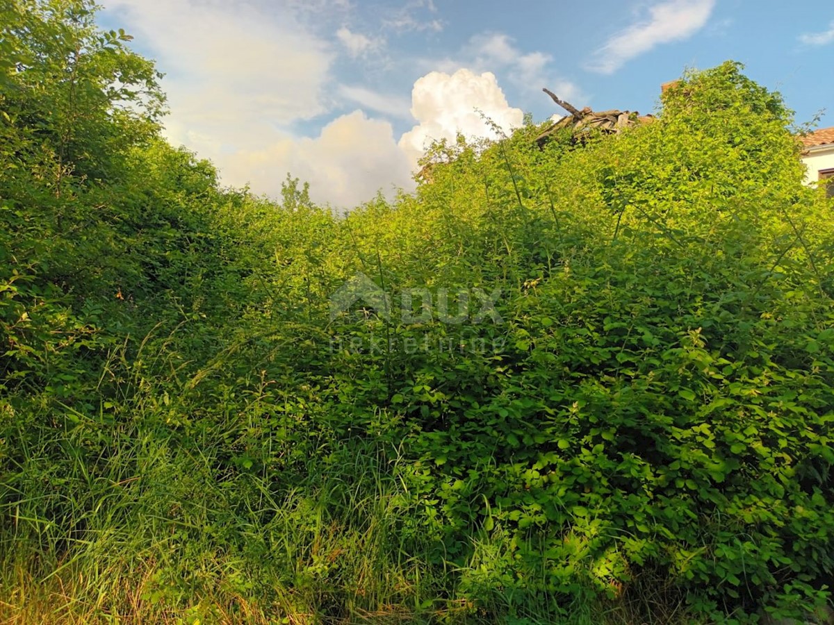 ISTRIA, BUZET - Casa in pietra in rovina nel cuore della natura