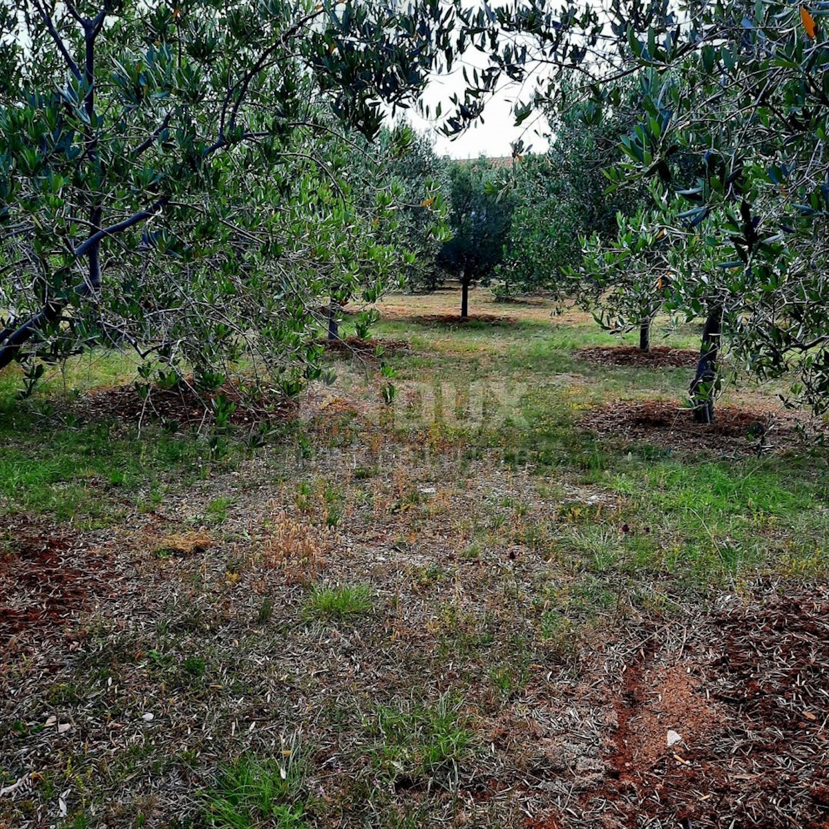 ISOLA DI VIR - Palazzina su un terreno spazioso