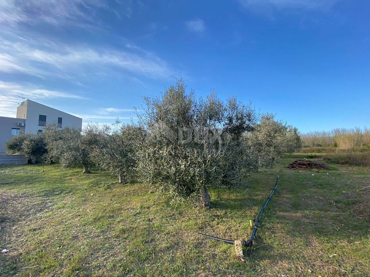 Terreno Privlaka, 1.019m2