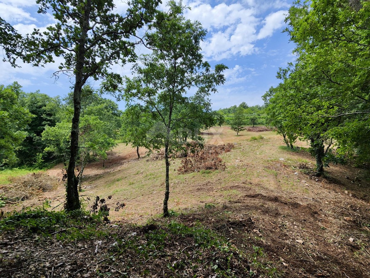 Terreno Barban, 1.471m2