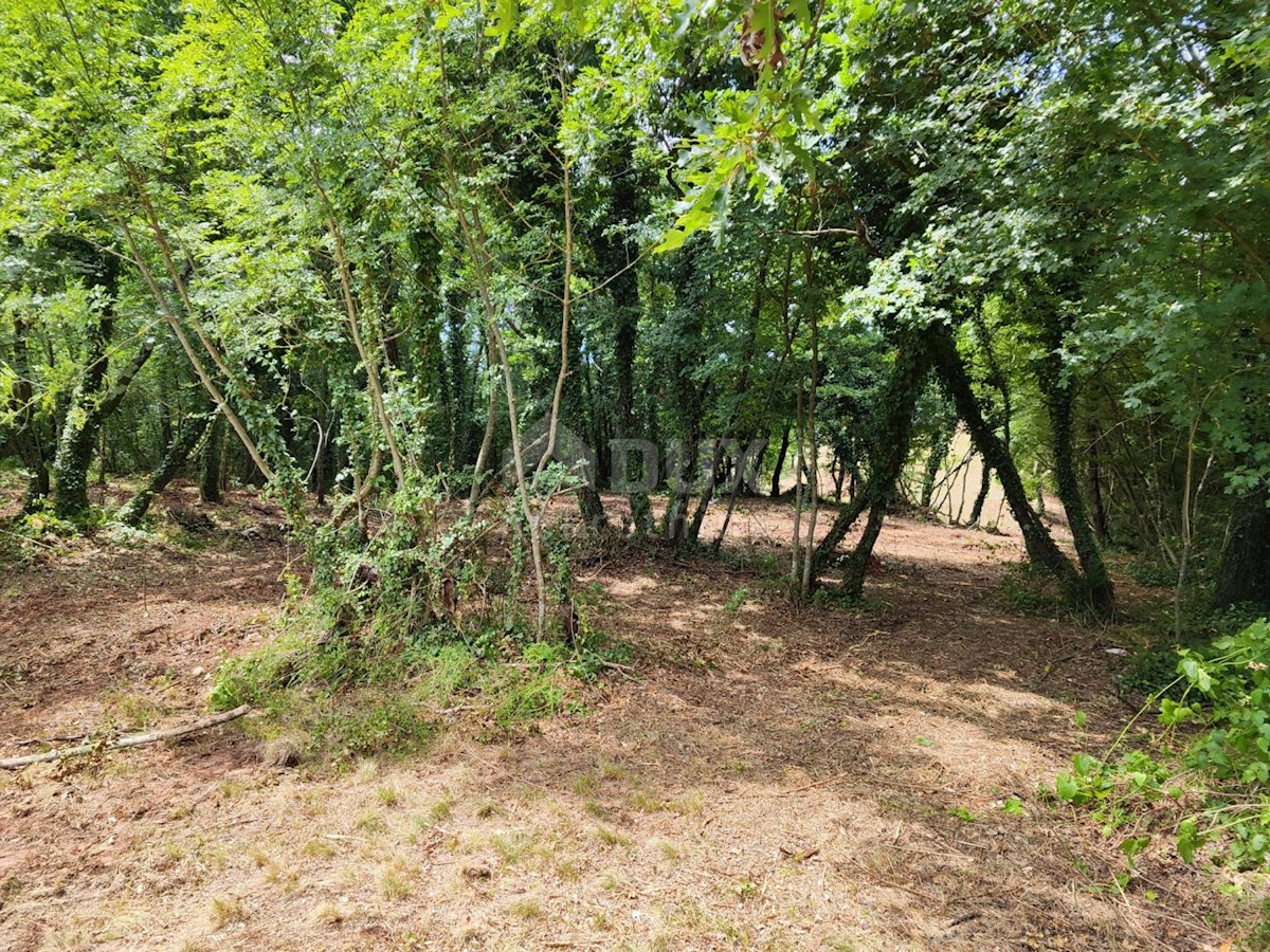 Terreno Barban, 1.471m2