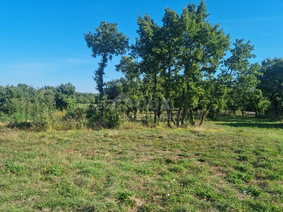 ISTRIA, SVETVINČENAT - Terreno abbinabile con fabbricato