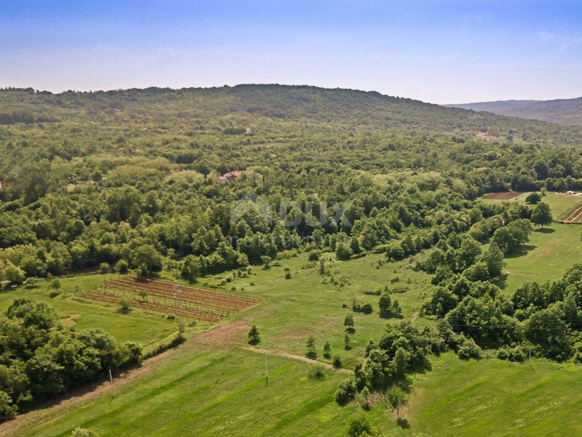 ISTRIA, SVETVINČENAT - Terreno abbinabile con fabbricato