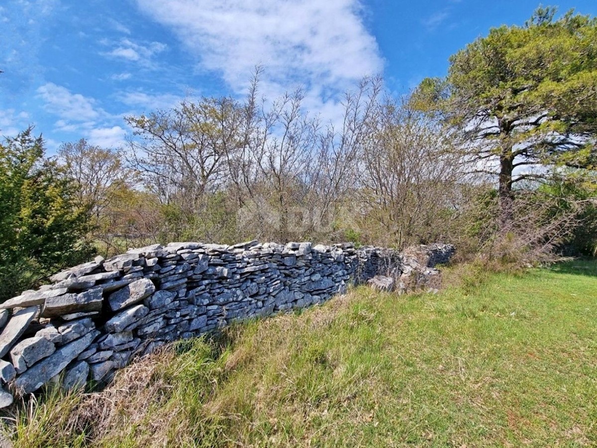 ISTRIA, SVETVINČENAT - Terreno abbinabile con fabbricato