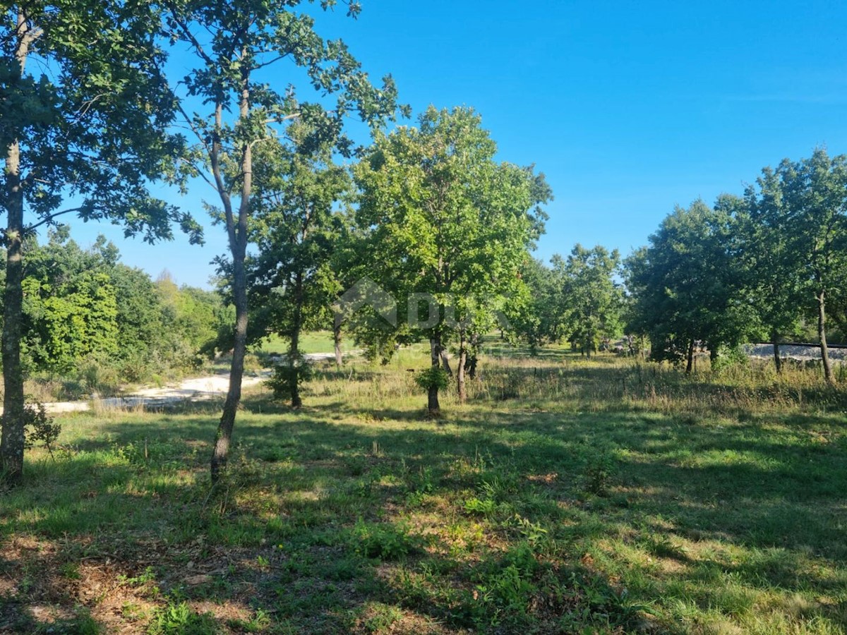 ISTRIA, SVETVINČENAT - Terreno abbinabile con fabbricato