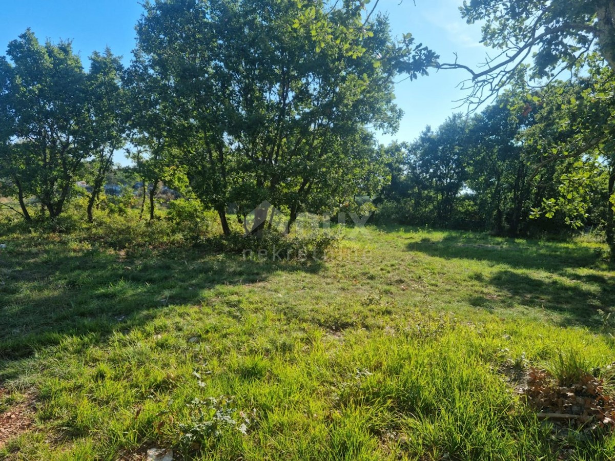 ISTRIA, SVETVINČENAT - Terreno abbinabile con fabbricato