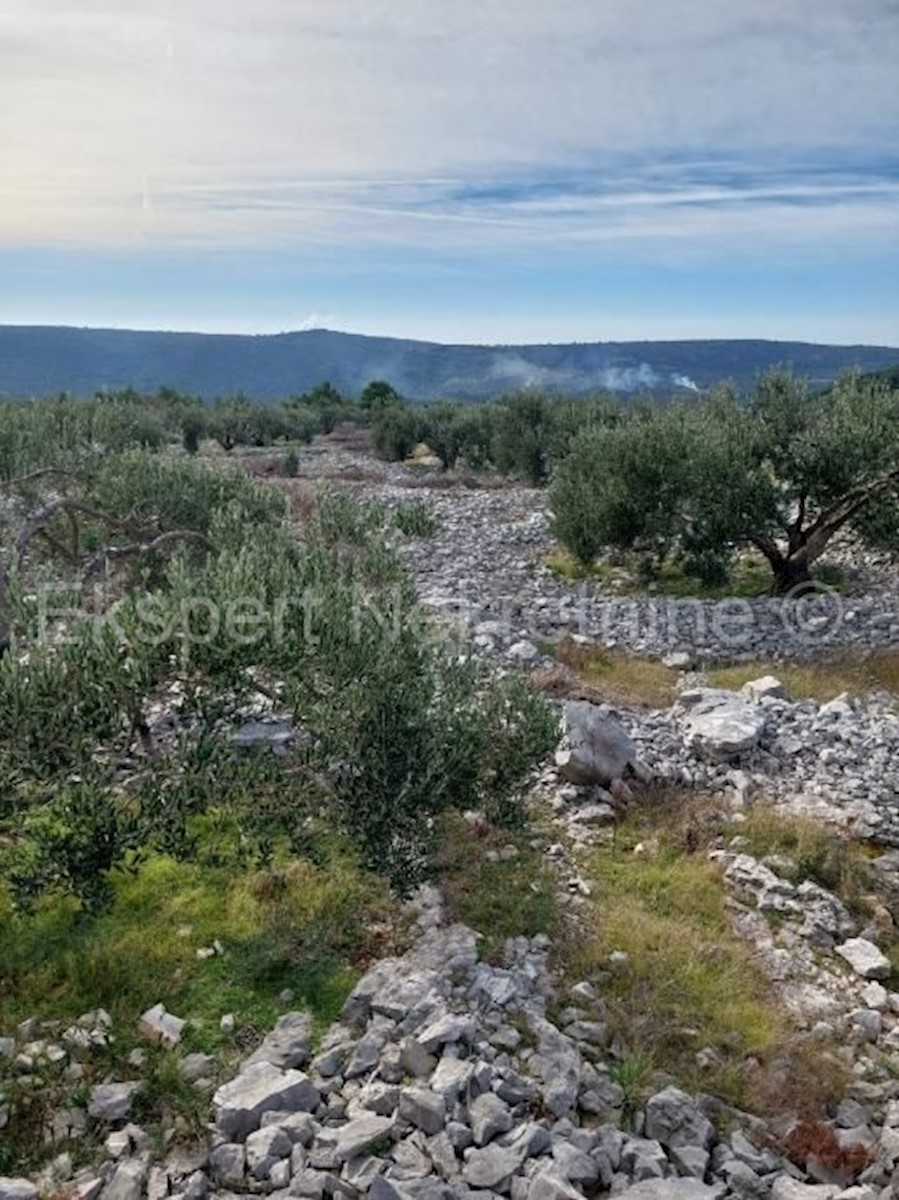 Rogoznica, Podorljak, terreno agricolo 6500m2, 500 m dall'autostrada