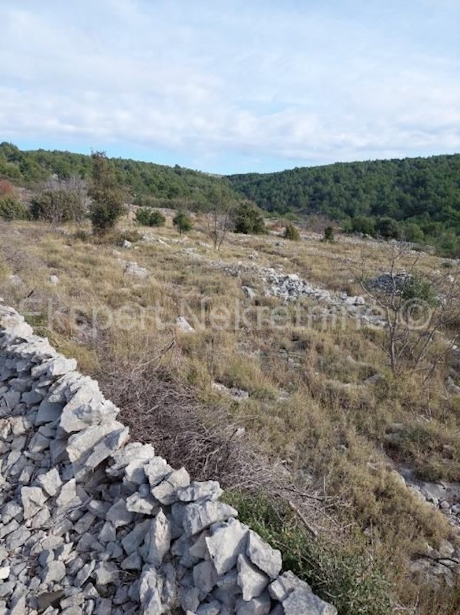 Rogoznica, Podorljak, terreno agricolo 6500m2, 500 m dall'autostrada