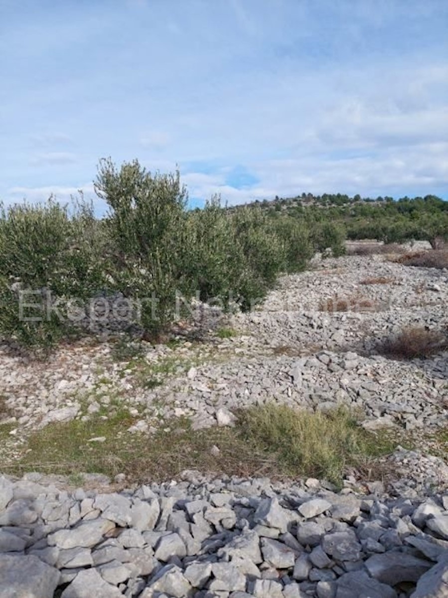 Rogoznica, Podorljak, terreno agricolo 6500m2, 500 m dall'autostrada