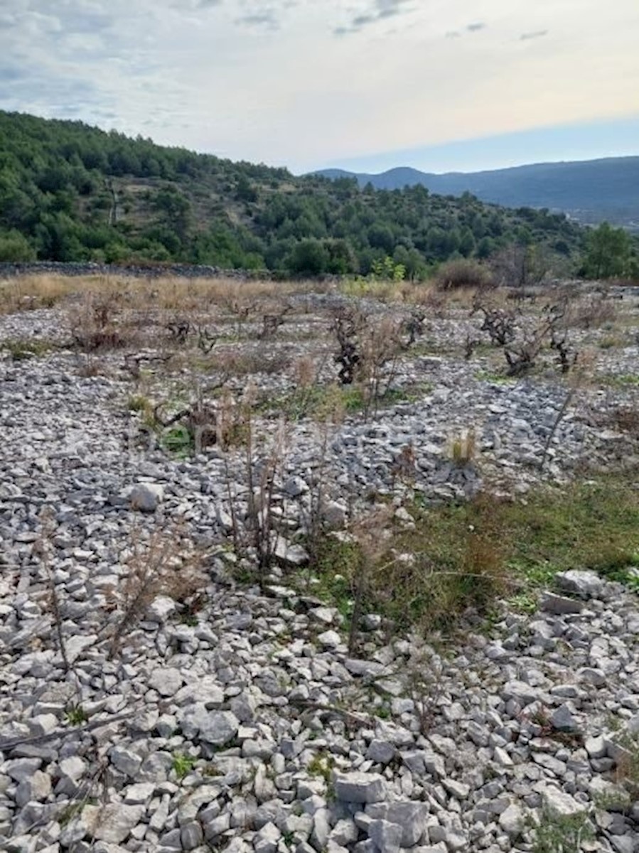 Rogoznica, Podorljak, terreno agricolo 6500m2, 500 m dall'autostrada