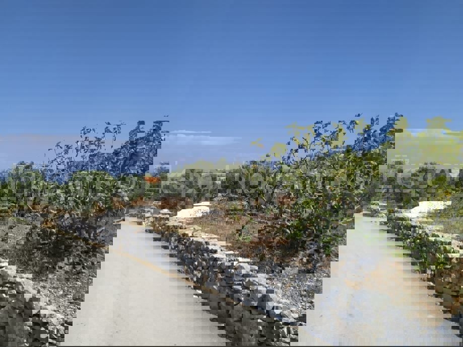 Trogir-Dintorni, Drvenik Mali, terreno edificabile 1052m2, a 150m dal mare