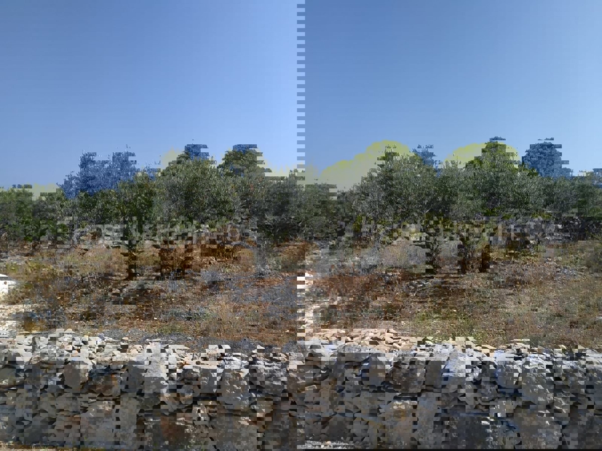 Trogir-Dintorni, Drvenik Mali, terreno edificabile 1052m2, a 150m dal mare