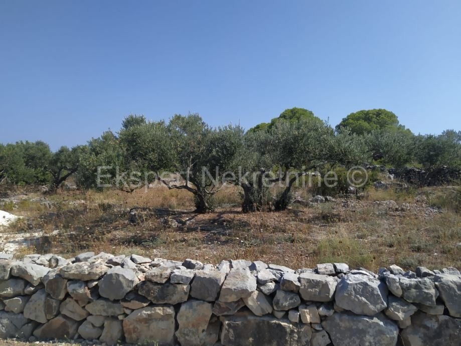 Trogir-Dintorni, Drvenik Mali, terreno edificabile 1052m2, a 150m dal mare