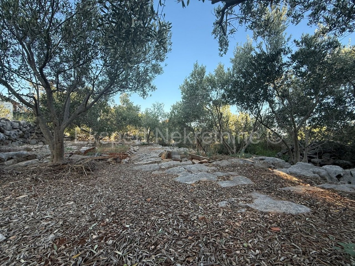 Trogir-Dintorni, Drvenik Mali, due case 83m2 + 47m2, 200m dal mare