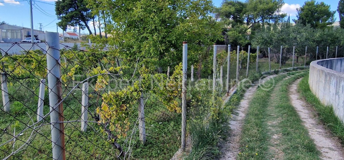 Kaštel Štafilić, building land 3606 m2, right next to the road, 100 m from the sea