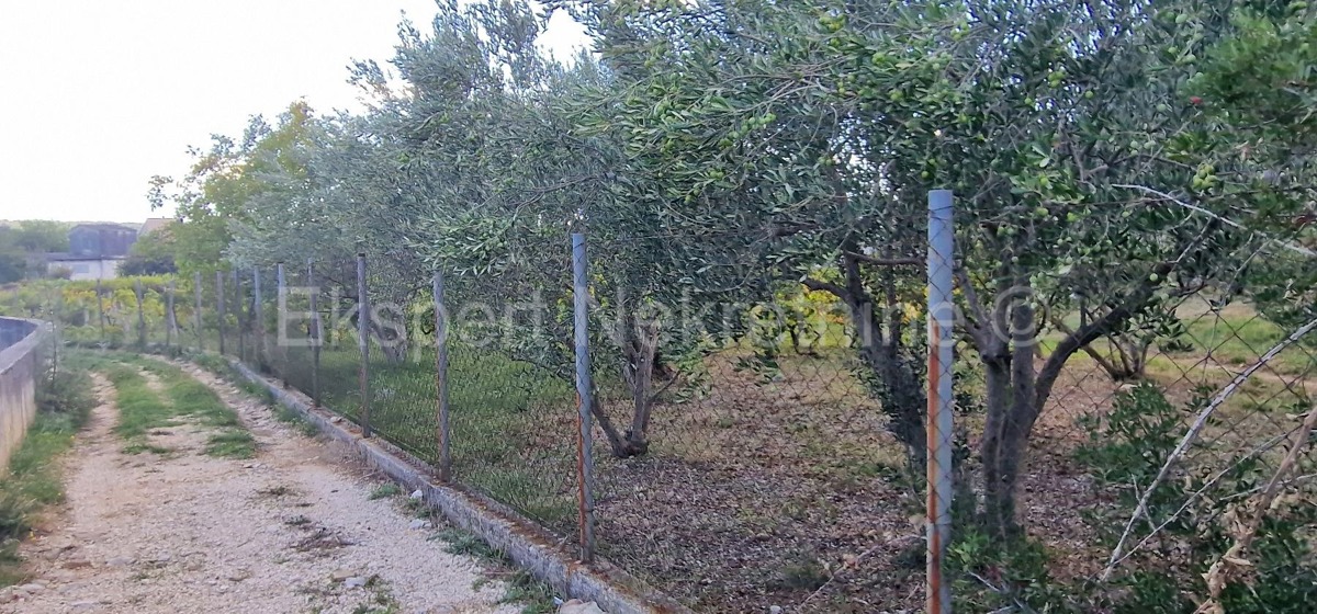 Kaštel Štafilić, building land 3606 m2, right next to the road, 100 m from the sea