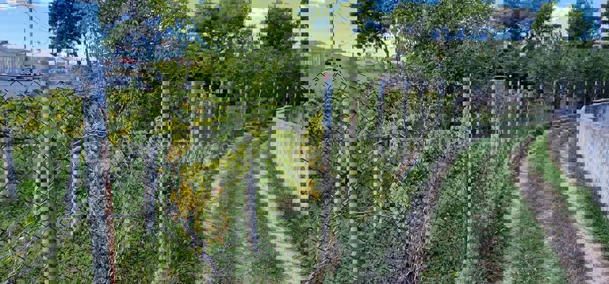 Kaštel Štafilić, building land 3606 m2, right next to the road, 100 m from the sea