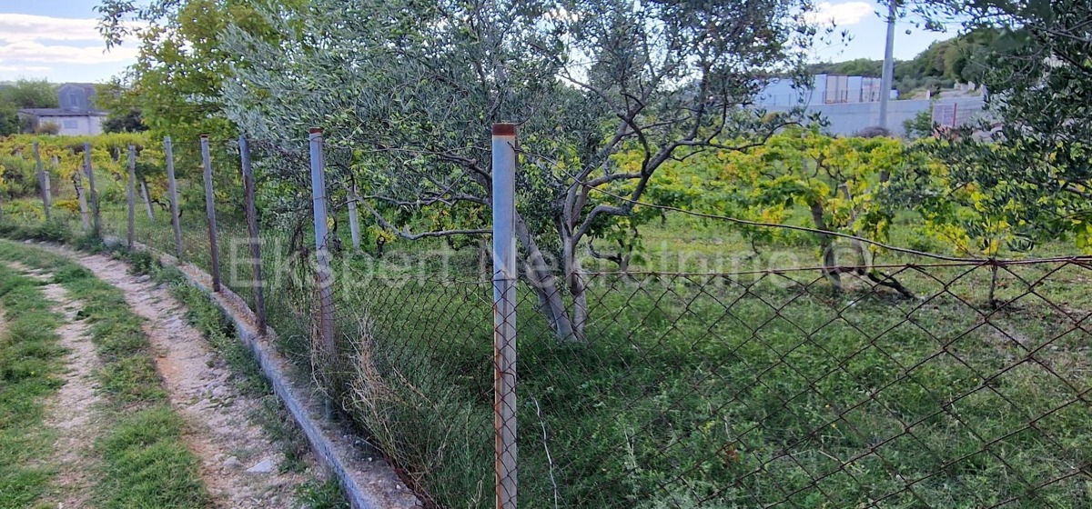 Kaštel Štafilić, building land 3606 m2, right next to the road, 100 m from the sea