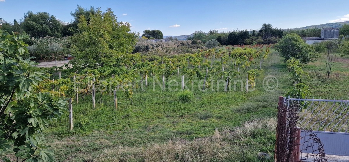 Kaštel Štafilić, building land 3606 m2, right next to the road, 100 m from the sea