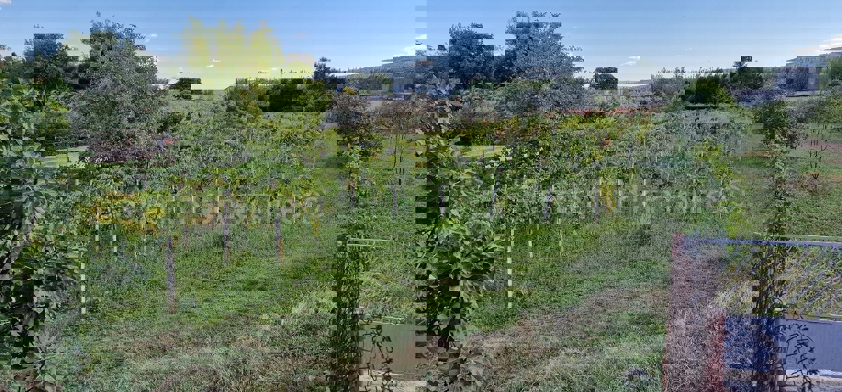 Kaštel Štafilić, building land 3606 m2, right next to the road, 100 m from the sea