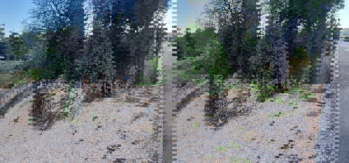 Kaštel Štafilić, building land 3606 m2, right next to the road, 100 m from the sea