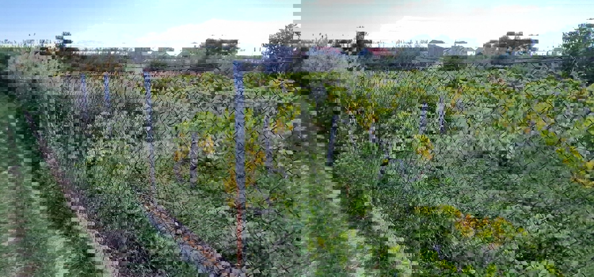 Kaštel Štafilić, building land 3606 m2, right next to the road, 100 m from the sea