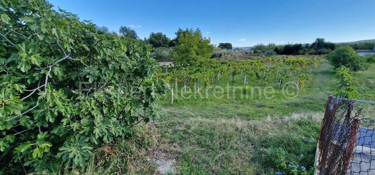 Kaštel Štafilić, building land 3606 m2, right next to the road, 100 m from the sea