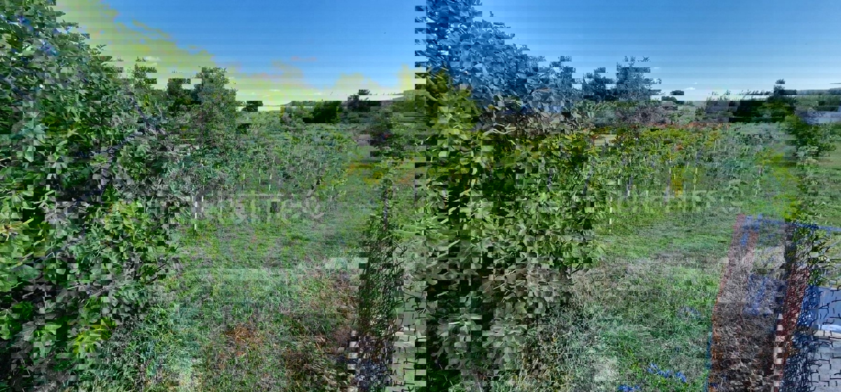 Kaštel Štafilić, building land 3606 m2, right next to the road, 100 m from the sea