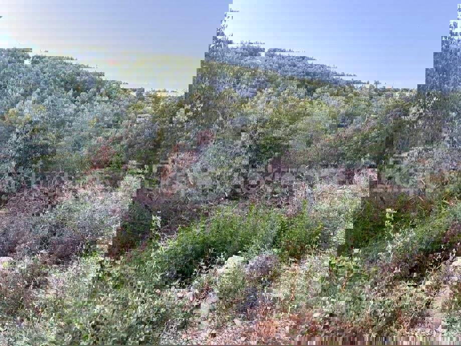 Marina, Poljica, terreno edificabile 1200 m2, 300 m dal mare
