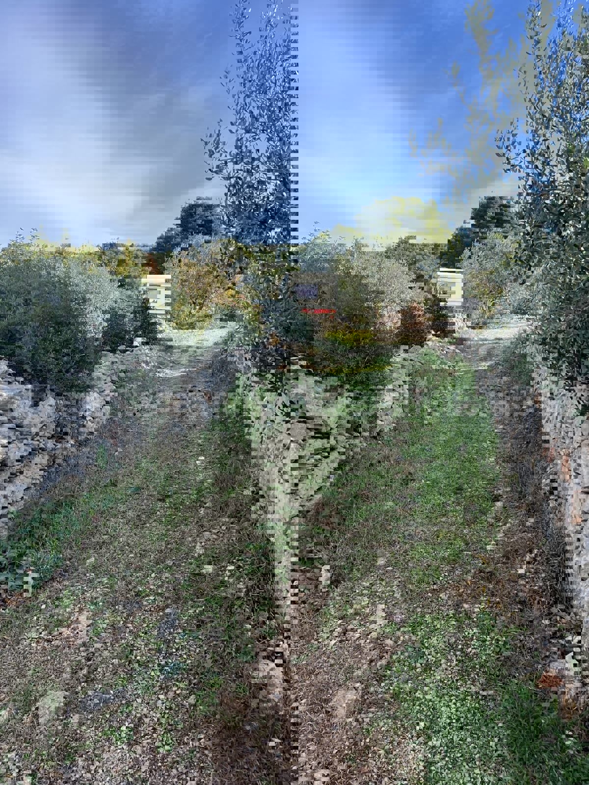 Trogir, Drvenik Veliki, terreno edificabile 2391m2, 250 m dal mare