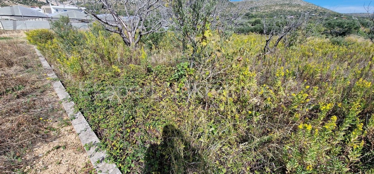 Seget Donji, building land 1215 m2, ideal for residential construction