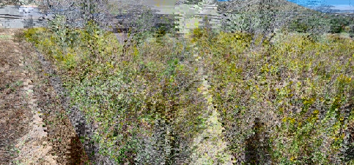 Seget Donji, building land 1215 m2, ideal for residential construction