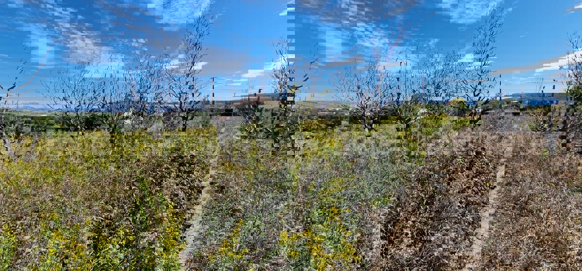 Seget Donji, building land 1215 m2, ideal for residential construction