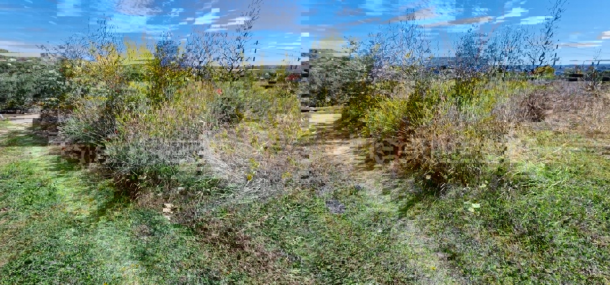 Seget Donji, building land 1215 m2, ideal for residential construction