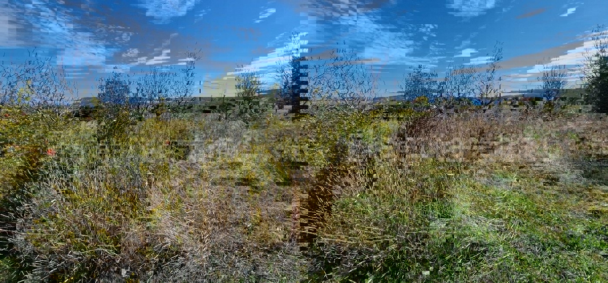 Seget Donji, building land 1215 m2, ideal for residential construction