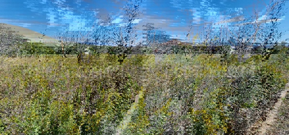 Seget Donji, building land 1215 m2, ideal for residential construction