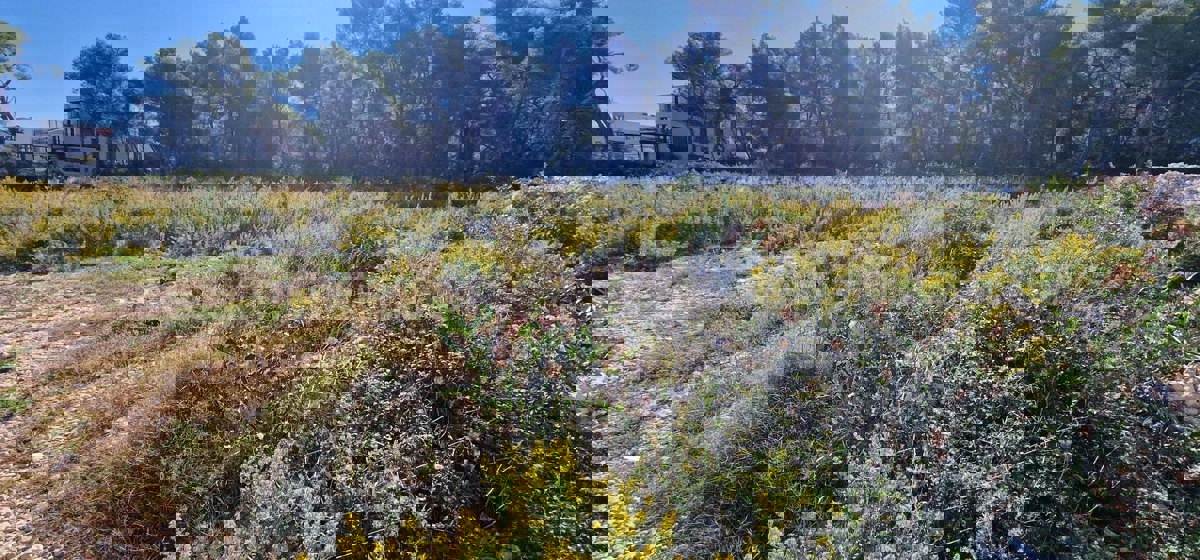 Čiovo, District G, building land 1228 m2, FIRST ROW TO THE SEA!!!