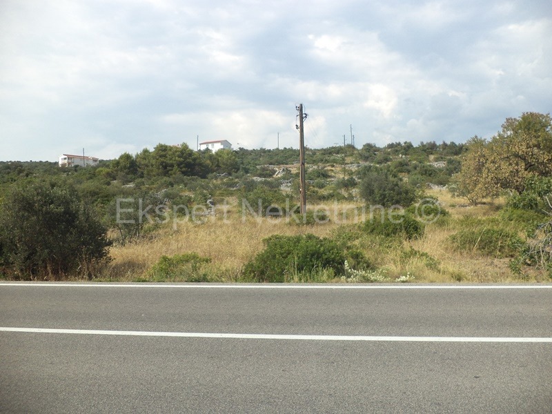 Rogoznica, terreno edificabile 2161 m2, accesso, 110 m dal mare