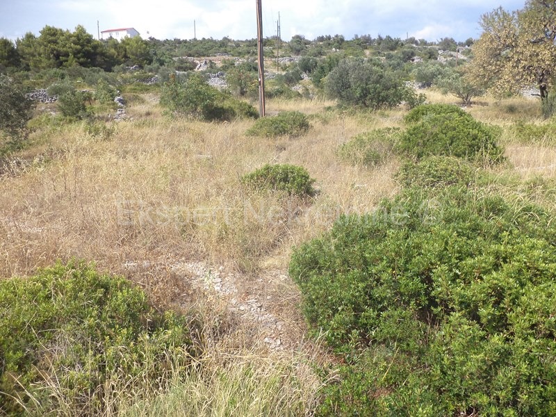 Rogoznica, terreno edificabile 2161 m2, accesso, 110 m dal mare