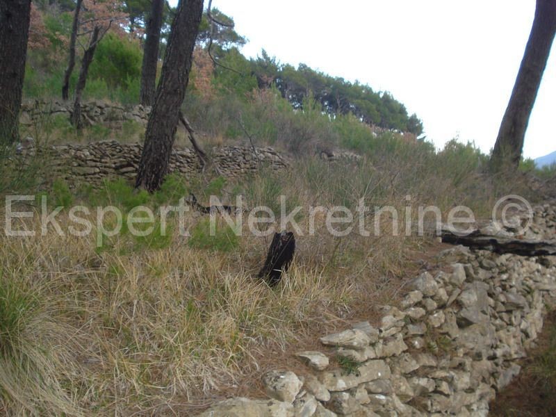 Tugare, terreno di circa 7300 mq, prezzo conveniente